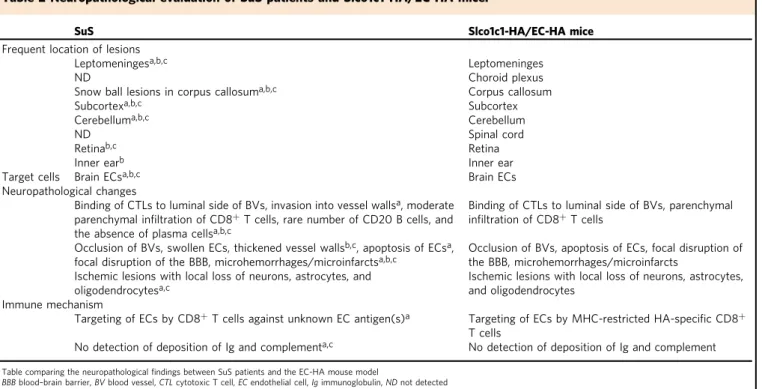 Table 2 Neuropathological evaluation of SuS patients and Slco1c1-HA/EC-HA mice.