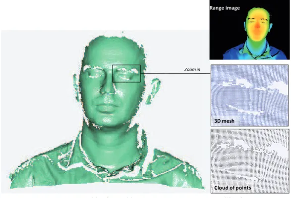 Figure 2.5: 3D face model and different representations: point cloud and 3D mesh.