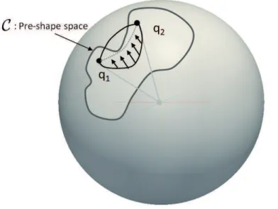 Figure 3.6: Illustration of the Pre-Shape Space C and geodesic in this pre-shape space.