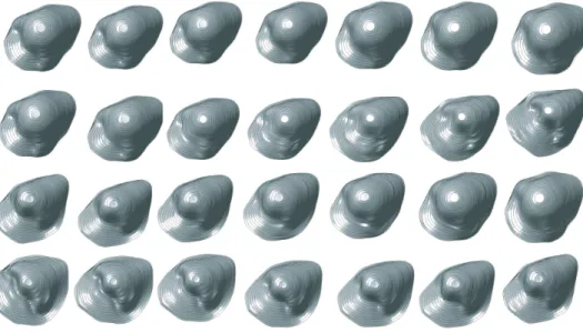 Figure 3.9: Geodesic path between source and target noses (a) First row: intra-class path, source and target with different expressions (b) Three last rows: inter-class path