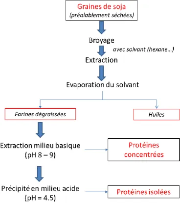 Figure I.6 : Processus d’extraction des protéines à partir de la graine de soja [61]. 