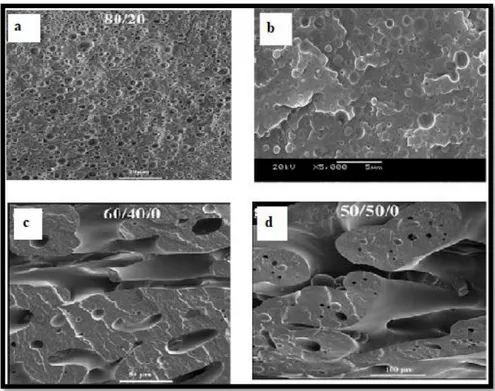 Figure 2.20. SEM images of PLA/PA6 a) 80/20, b) 70/30, c) 60/40 and d) 50/50 at different  magnifications [159,163]