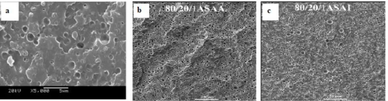 Figure 2.21. SEM images of PLA/PA6 blends with compatibilizers a) POE-g-MAH, b) ASAA  and c) ASAI at different magnifications [159,163]