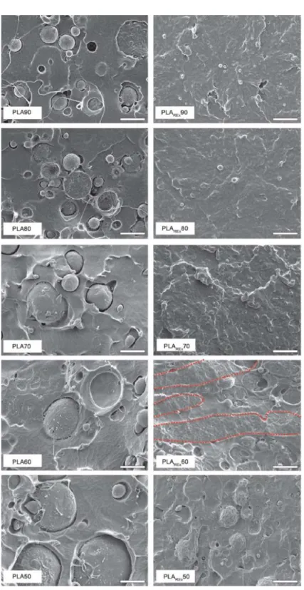 Figure 2.24. SEM images of cryofractured samples of PLA/PA10-10 and PLArex/PA10-10  (scale-2 μm) [157] 