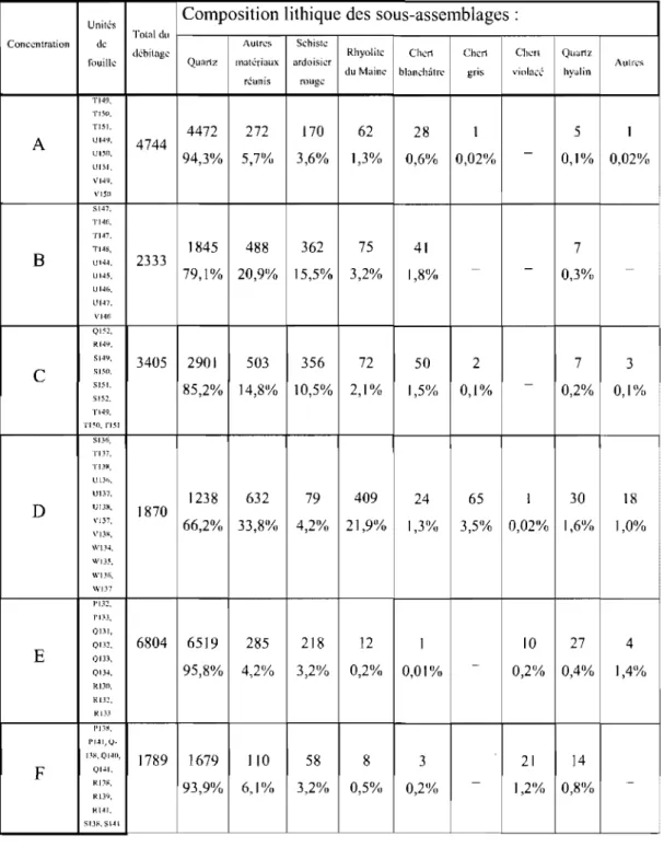 TABLEAU VIII:  Composition des concentrations lithiques 