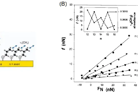Figure 1.14. (A) Idealized structure of n-alkanethiolates on gold substrate. (B) Plots of friction  force (f) vs