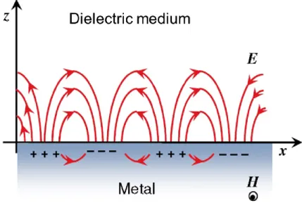 Figure  1.20.  Schematic  illustration  of  the  electromagnetic  field  with  surface  plasmons  traveling along a metal/dielectric interface