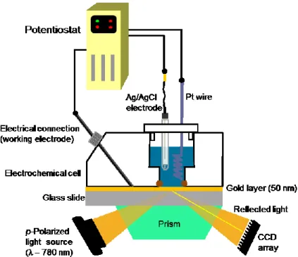 Figure  1.23  Illustration  of  the  electrochemical  surface  plasmon  resonance  (EC-SPR)  setup  used for the investigations of the FcC n SAu SAMs