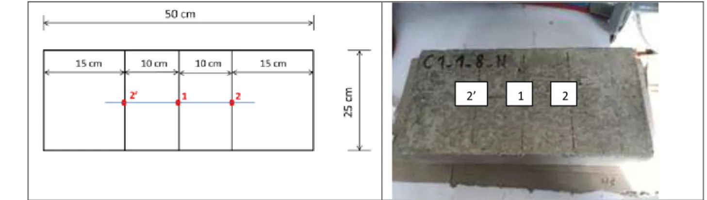 Figure 2: Location of measurement points on the slabs 260 