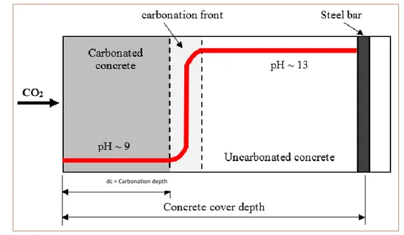 Figure 1: pH decrease in concrete cover due to carbonation  [Ta 2016]  