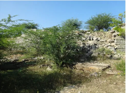 Figure 11 : carrière de pierre intra-muros réaménagée en réserve d’eau au nord-est de Firozâbâd 