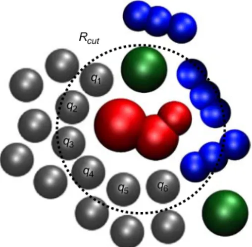 Figure 1 | Local structure characterization. Around each molecular ion, the number of neighbours of each species kind is determined using a spherical cutoff distance R cut 