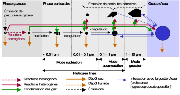 Figure 3 : Schéma simplifié des processus physico-chimiques de transformation des aérosols  atmosphériques (adapté de (Raes et al., 2000)) 