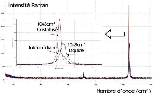 Figure 32 : Spectre Raman du nitrate d’ammonium. Influence de l’état physique du composé sur le  signal obtenu