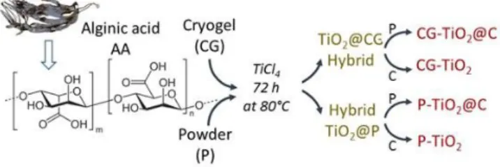 Fig.  1.  Schematic  representation  of  the  synthesis  of  TiO 2 @C  and  TiO 2