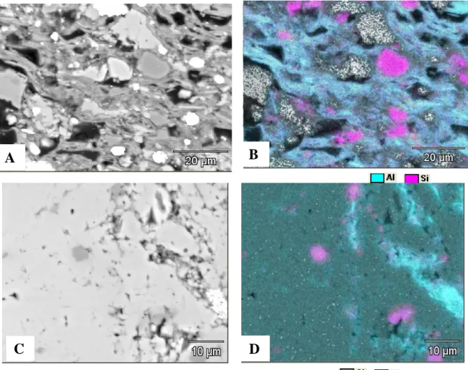 Figure III.7: Observation au MEB d’une surface polie du calcaire siliceux du Tournaisis  et Cartographie EDS  