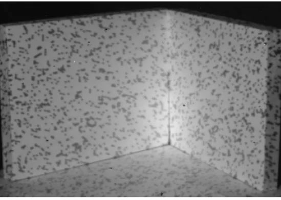 Figure 4: Random cloud projected onto two white planes. The black speckle is the projected IR light shadowed by the mask.