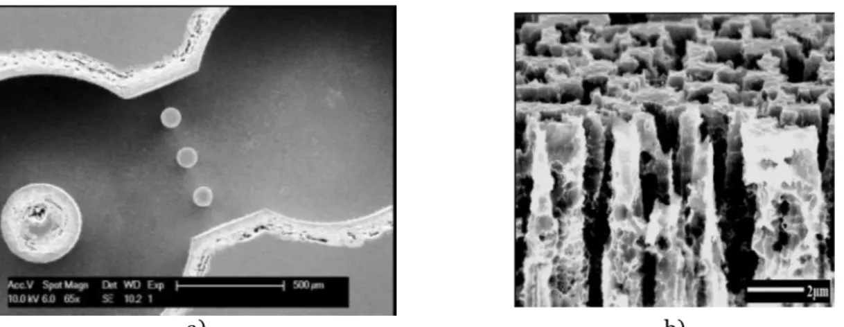 Figure 2: SEM Image of a PS µGP: a) top view of the outlet channels and b) magnified view  of the pores within channels