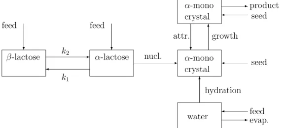 Figure 1: Solvated crystallization of α-lactose monohydrate with complex population dynamics featuring one aging and three ageless populations