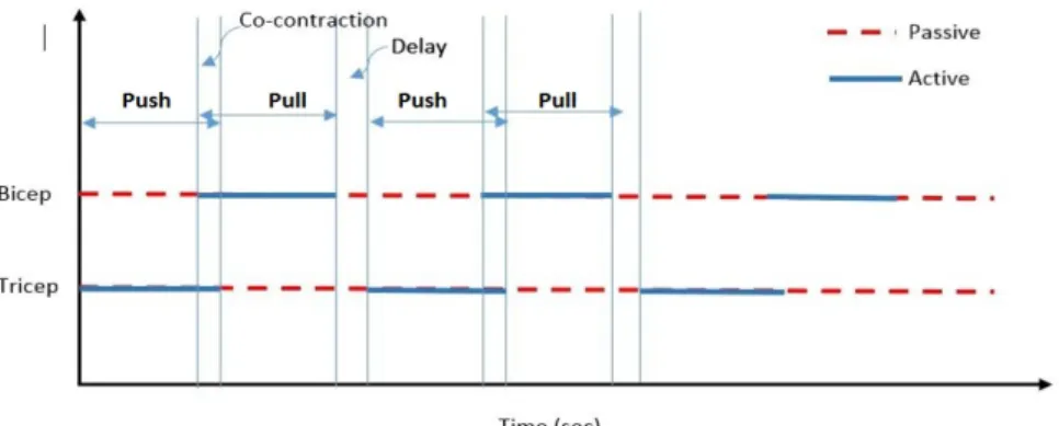 Fig. 3: Push/Pull Motion and Muscles activities