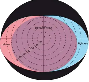 Fig. 3: Snellen’s letter 