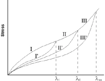 Figure  1.  Schematic  behaviour  of  a  hyperelastic  material  with  stress-softening
