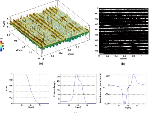 Figure 4: (a) An example of a real 3D surface topography measured from the UHMWPE component