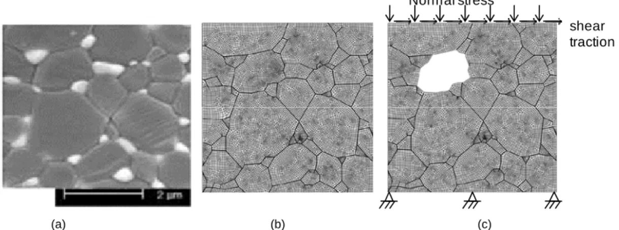 Fig. 2a shows microstructure image of Al 2 O 3 -ZrO 2  ceramic: white particles are ZrO 2  and dark grey ones are  Al 2 O 3 