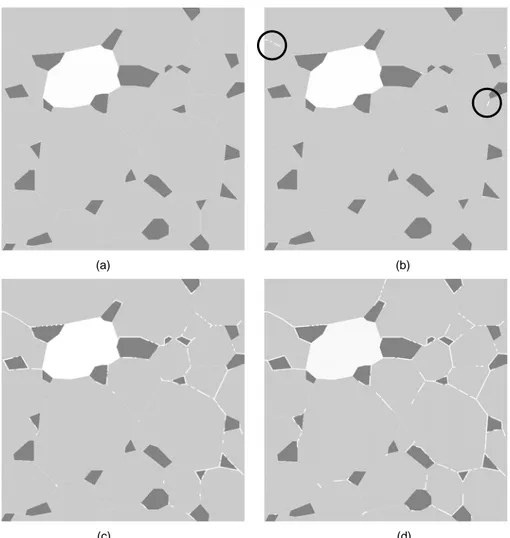 Fig. 5 Illustrations of crack distributions in a model with respect to applied normal stresses: (a) 5MPa, (b) 50MPa, (c) 250MPa,  and (d) 500MPa