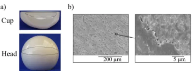 Figure 1: (a) Wear bands on the superior parts of a  broken  zirconia  prosthesis  (perimeters  tainted  in  black  for  visualization)