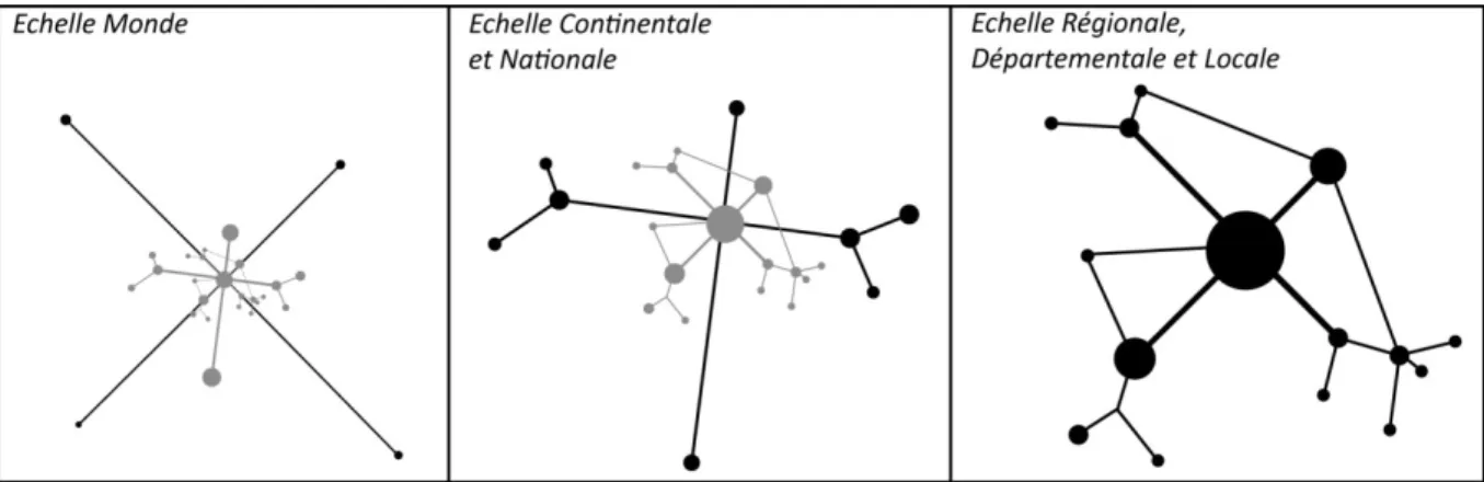 Figure 1. Les échelles d’organisation de l'espace Monde 