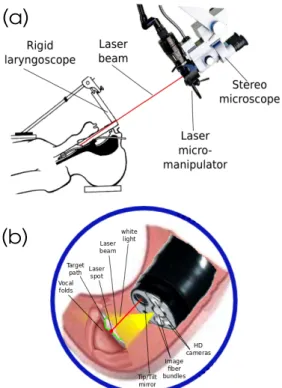 Figure 1: (a) the current laser phonosurgery system and (b) the targeted system.