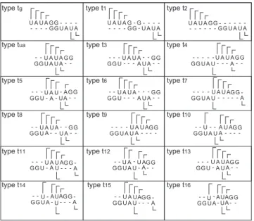 Fig. 2. The eighteen types of local alignments for the segments S k and T k . Lemma 3