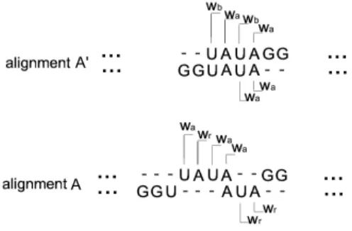 Fig. 3. Example of a canonical alignment A containing a local alignment of type t 3
