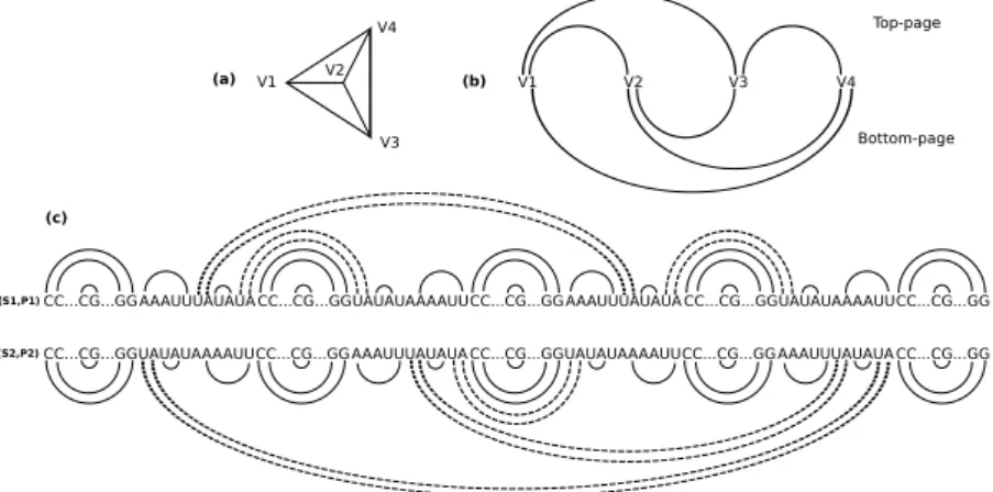 Fig. 2. (a) a cubic planar bridgeless connected graph G of order 4, (b) a 2-page s - -embedding of G and, (c) the corresponding Nested type arc-annotated sequences.