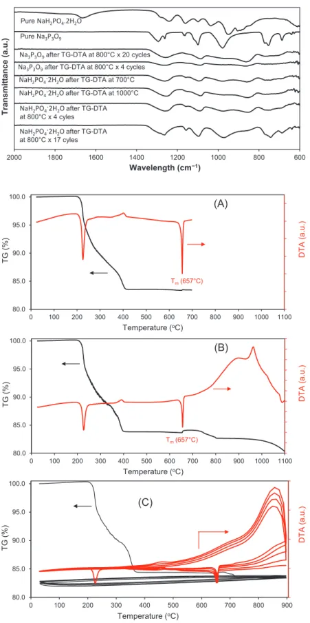 Fig. 2 shows TG-DTA curves of Na 3 P 3 O 9 and NaH 2 PO 4 ·2H 2 O with 4, 17 or 20 consecutive heating-cooling cycles in the temperature range of 30–800 °C