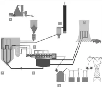 Figure 2:   Pulverised coal power plant. 8