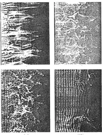 Figure 2.7 - Successive lavers ofthe flow near a ilat plate tKllne et aI., 19671