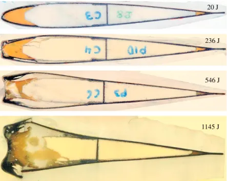 Fig. 6. Overview of blade cross section in the plane of impact.