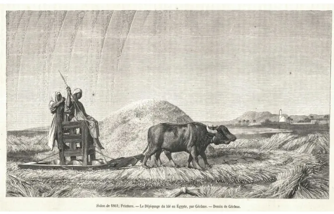 Figure 1.4  Le dépiquage du blé en Égypte, Gérôme, Magasin Pittoresque, 1861, p. 173