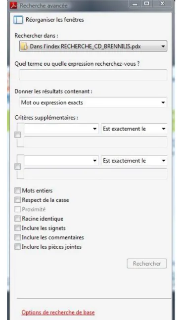 Figure 7 : Recherche simple et avancée sur le CD-ROM interactif