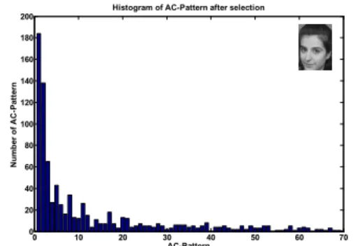 Figure 2: Histogram of AC-Patterns after selection For DC-Pattern histogram, we can also make the same observation that only a part of DC-Patterns occurs in large quantities while other part of DC-Patterns appears rarely