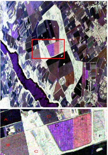 Fig. 8. (Top) EMISAR L-band quad-pol acquisition over Foulum, Denmark, multilooked with six looks shown as Pauli RGB image