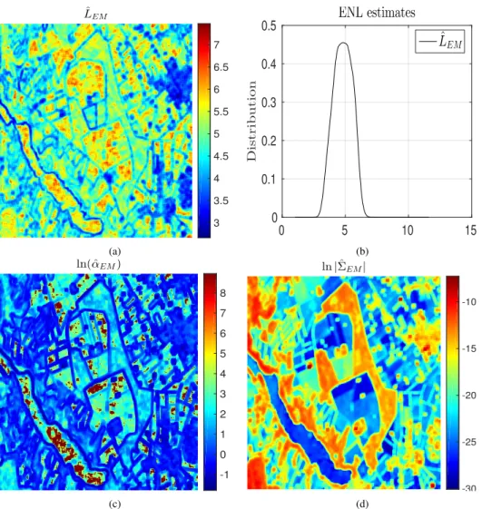 Fig. 9. Local estimation of speckle and texture parameters of the whole Foulum image. (a) Local ENL estimation