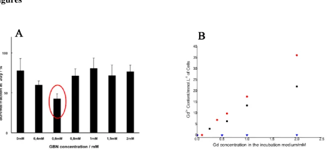 Fig.  1:  A) Percentage of surviving cell determined by  clonogenical  survival  assays  after a 2  Gy  irradiation  for  different  Gd  incubation  concentration;  B)  ICP  quantification,  after  prolonged  cell  washing,  of  extracellular  and  intrace