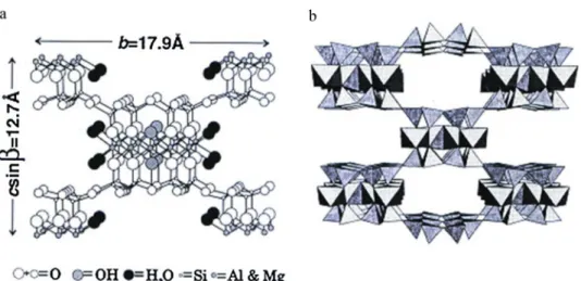 Fig. 1. (a) Crystal structure of palygorskite “from Galan [20, Fig. 1]. Reproduced with kind permission of the Mineralogical Society, publisher of Clay Minerals” and (b) its polyhedral representation “from McKeown et al