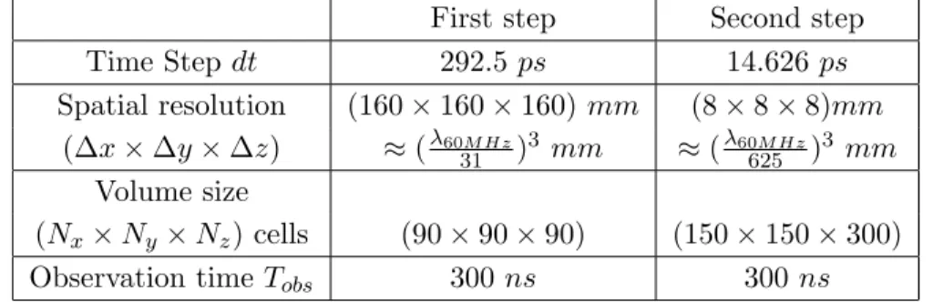 Table 4: Simulation parameters of the FDTD simulation used for the calculation of transfer functions Time Step dt 14.626 ps