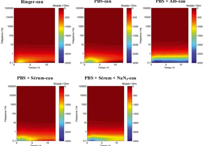 Figure 4 : Représentation dans le plan temps-fréquence de la différence des moyennes des  modules entre cinq solutions et l’eau désionisée servant de référence