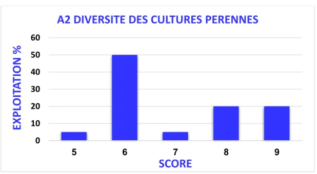 Figure 11 : L’histogramme de la diversité des cultures pérennes 