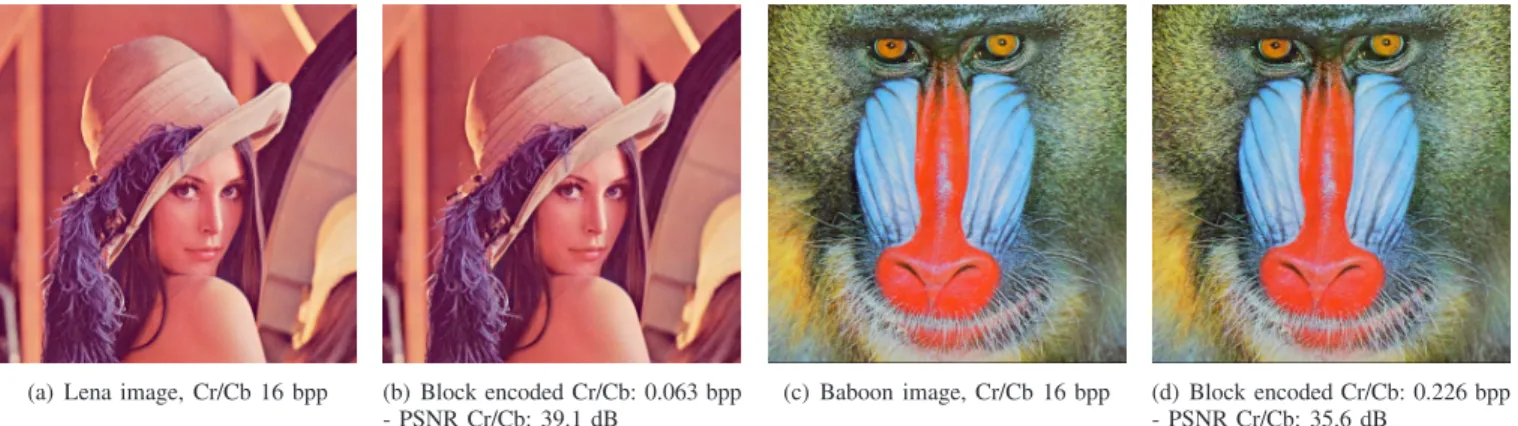 Fig. 6. Reconstructed images with chrominance component encoding by flat coder (original Y).